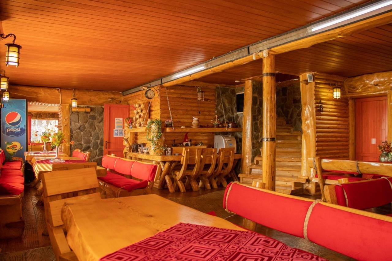 Pensiunea Alpin Ranca Ngoại thất bức ảnh