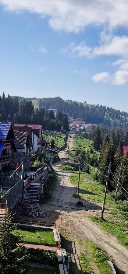 Pensiunea Alpin Ranca Ngoại thất bức ảnh